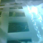 Cotton-Seed-Sprouts-In-Chinas-Lunar-Lander