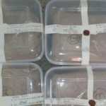 Delhi-police-nabs-6-with-heroin-worth-Rs-80-crore