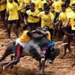 Jallikattu-begins-tomorrow-in-Avaniyapuram