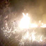 Kodaikanal-forest-fire-rare-type-trees-burned