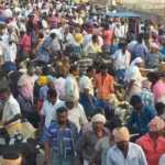Pongal-festival-Ettayapuram-Market-one-day-6-crore-goat