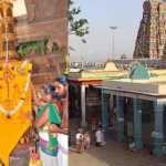 palani-murugan-temple-thaipusam