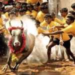 thousands-of-bull-tamers-reservation-for-Alanganallur