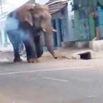 Chinna Thambi