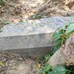 IMG-20211019-WA0013 (2)