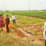 Removal of Rs 3 crore worth of water encroachments – Ponneri Dashildar operation in Pandikavanur area-2 (2)