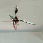 Risk of student drop out due to lack of basic facilities – Thandagaundanpalayam Government Panchayat Union Middle School in distress-1 (2)