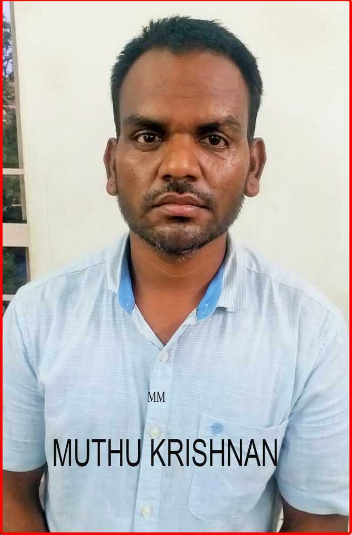 Velachery personal police arrested the accused in the robbery case in Coimbatore (2)