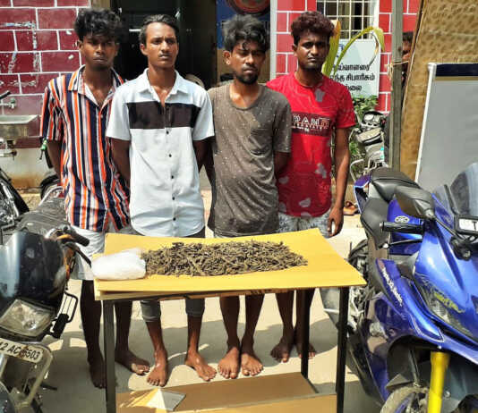 1.5 கிலோ கஞ்சாவுடன் 4 பேர் திருவேற்காட்டில் கைது : கஞ்சா விற்பனையின் போது போலீசார் சுற்றி வளைப்பு ..