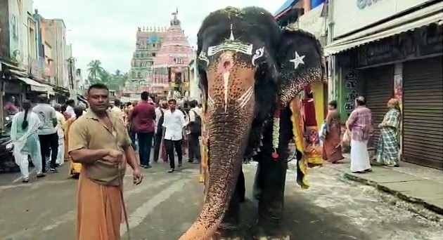 Kumbakonam Ramasamy Temple procession was held today, the 9th day of Ramanavami festival-pic (2)
