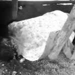 Famous Rowdy Murthy hacked to death by a mysterious gang of 9 people near Minsur-3 (2)