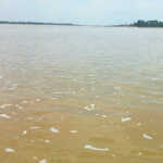 Kanchipuram district floods with water in the lake … Children’s army taking summer baths-3 (2)