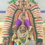 Karutasevai program at Varatharajaperumal Temple in Minsur today – Thousands participated and worshiped the Lord with devotion and ecstasy-1 (2)
