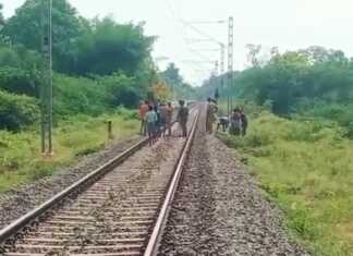 இரயில் தண்டவாளத்தை கடக்க முற்பட்ட போட்டோ கிராஃபர் கும்பகோணம் அருகே இரயில் மோதி உயிரிழப்பு ..