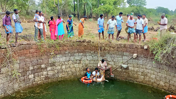 Point deer that fell into a farm well in Karamedu village - Firefighters rescued and released into the forest after a long struggle-1 (2)
