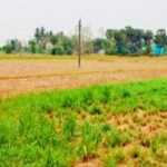 Recovery of Rs 10 crore worth of aquifers in private occupation – Gummidipoondi Revenue Department Action-1 (2)