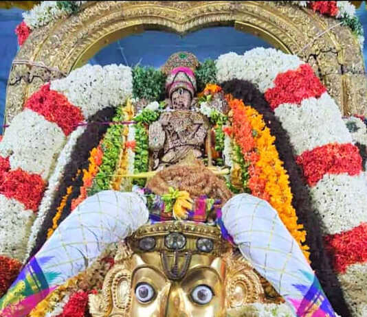 காஞ்சியில் நடைப்பெற்ற வரதராஜபெருமாள் திருக்கோயில் கருடசேவை : வரதரை காண திரளாக குவிந்த பக்தர்களால் திக்குமுக்காடியது மாநகரம் ..