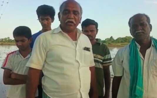திருவாரூர் : விளை நிலத்தில் விதைக்கப்படும் விதைகளை அழிக்கும் காட்டுப் பன்றிகள் … விவசாயிகள் புகார் அளித்தும் இழப்புகளை உணராத அரசு அலுவலர்கள் .. வாழ்வாதரத்தை இழந்து நிற்கும் விவசாயிகளின் பரிதாப நிலை !