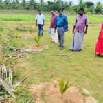 Easwar Deputy Director of Agriculture inspects Madukkur area – Field study on agriculture projects and curry cultivation preparations-2 (2)