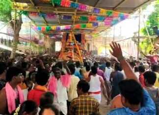 கும்பகோணம் : விநோதமான வழிப்பாட்டு முறைகள் கொண்ட கருப்பூர் பெட்டிக்காளியம்மன் கோயில் பல்லாக்கு திருவிழா ..