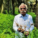Takkaippūṇṭu plays an important role in stabilizing the soil – Govindaraj, a pioneer farmer in Madukkur-2 (2)