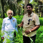 Takkaippūṇṭu plays an important role in stabilizing the soil – Govindaraj, a pioneer farmer in Madukkur-3 (2)