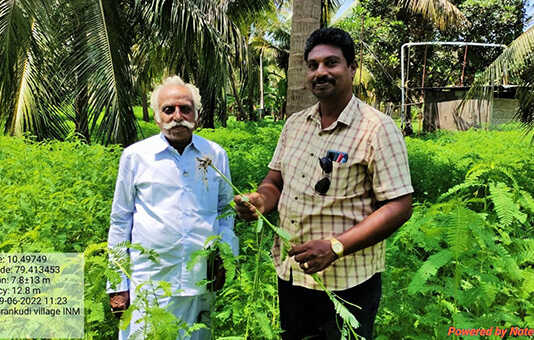 தழைச்சத்தை மண்ணில் நிலை நிறுத்த முக்கிய பங்கு வகிக்கும் தக்கைப்பூண்டு : மதுக்கூர் வட்டார முன்னோடி விவசாயி கோவிந்தராஜ்