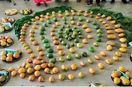 கும்பகோணம் : தேசிய மாம்பழத் தினத்தை முன்னிட்டு நூற்றுக்கணக்கான பள்ளி குழந்தைகள் பங்கேற்ற ஆடல் பாடல் நிகழ்ச்சி ..