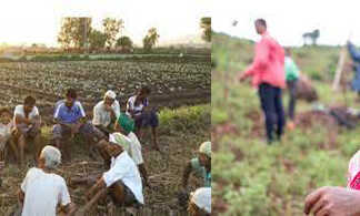 கும்பகோணம் வேளாண்மை உதவி இயக்குநர் அலுவலகத்தில் நாளை நடைப்பெறயிருக்கும் கிராம மகளிர் மற்றும் இளைஞர்களுக்கான அங்கக வேளாண்மையில் திறன் மேம்பாட்டு பயிற்சி : தஞ்சை மாவட்ட வேளாண்மை இணை இயக்குநர் தகவல்..
