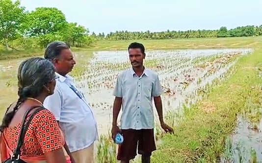 வாத்துகளின் வரத்து விவசாயிகளின் வாழ்வாதாரத்தை உயர்த்தும் .. மதுக்கூர் வேளாண் உதவி இயக்குநர் திலகவதி
