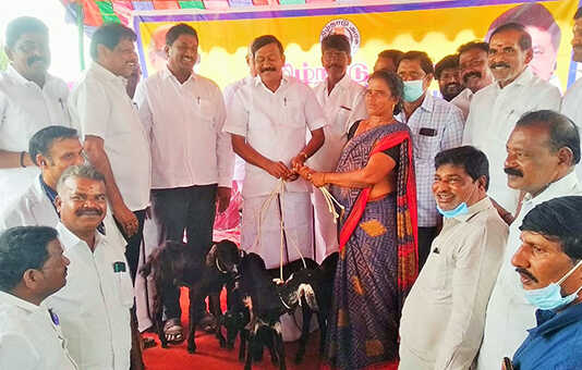 132 பயனாளிகளுக்கு தமிழ்நாடு அரசின் விலையில்லா வெள்ளாடுகள் வழங்கும் விழா : எல்லாபுரம் ஒன்றியத்தில் நடைப்பெற்ற விழாவில் கும்மிடிபூண்டி சட்டமன்ற உறுப்பினர் டி.ஜே.கோவிந்தராஜன் பயனாளிகளுக்கு வெள்ளாடுகளை வழங்கினார்..