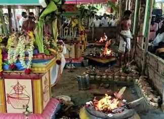 திருவாரூர் அருகே மிகச்சிறப்பாக நடைப்பெற்ற மூன்று ஆலயங்களின் அஷ்டபந்தன மகா கும்பாபிஷேக விழா ..