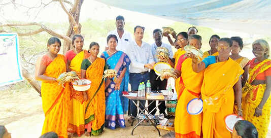 பழவேற்காடு குளத்துமேடு பழங்குடி கிராம பண்ணையில் நடைப்பெற்ற வளர்ப்பு இறால் நண்டு விடும் நிகழ்ச்சி ..