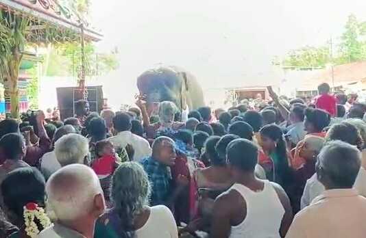 ஐந்தாயிரத்திற்கும் மேற்பட்ட பக்தர்கள் பங்கேற்று சிறப்பித்த குடவாசல் அருகே உள்ள வடபத்ரகாளியம்மன் திருக்கோவில் கும்பாபிஷேக விழா ..