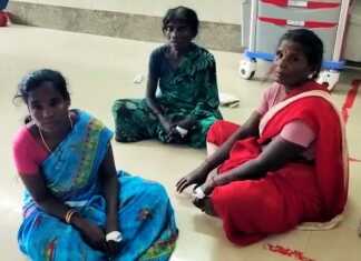 கும்பகோணம் அருகே உள்ள உத்திரை கிராமத்தில் கதண்டு வண்டு கடித்து மூன்று பேருக்கு காயம் : அரசு மருத்துவமனையில் சிகிச்சைக்காக அனுமதி