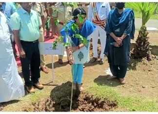 பசுமை தமிழ்நாடு இயக்கத்தின் சார்பில் திருவாரூர் ஆயுதப்படை மைதானத்தில் நடைப்பெற்ற மரக்கன்று நடும் நிகழ்ச்சி : மாவட்ட ஆட்சித்தலைவர் தொடக்கி வைத்தார்..
