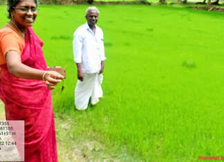 பயிர் எதுவானாலும் பலவித நோய்களிலிருந்து பாதுகாக்கும் சூடோமோனஸ் .. விவசாயிகள் பயன்படுத்த மதுக்கூர் வேளாண் உதவி இயக்குனர் வேண்டுகோள்..