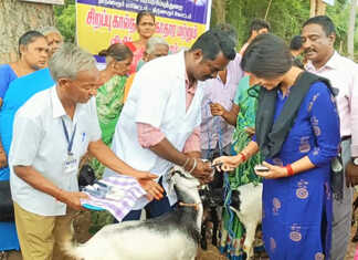 நான்கரை கிராமத்தில் நடைப்பெற்ற சிறப்பு கால்நடை சுகாதாரம் மற்றும் விழிப்புணர்வு முகாம் ; திருவாரூர் மாவட்ட ஆட்சியர் தொடங்கி வைத்தார்