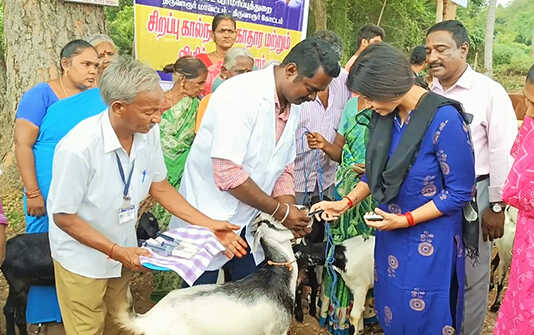 நான்கரை கிராமத்தில் நடைப்பெற்ற சிறப்பு கால்நடை சுகாதாரம் மற்றும் விழிப்புணர்வு முகாம் ; திருவாரூர் மாவட்ட ஆட்சியர் தொடங்கி வைத்தார்