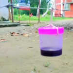 Thanjavur Simple way for farmers to protect their crops from wild boars – introduction of natural wild boar repellants-2 (2)