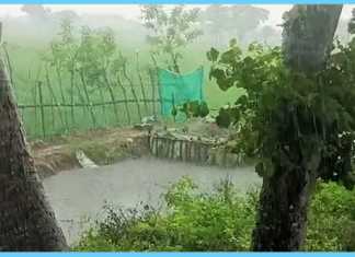 திருவாரூர் சுற்று வட்டாரப் பகுதிகளில் காற்றுடன் ஒரு மணி நேரமாக பெய்து வரும் மழை..