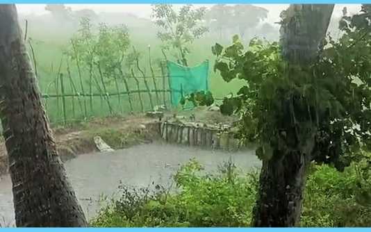 திருவாரூர் சுற்று வட்டாரப் பகுதிகளில் காற்றுடன் ஒரு மணி நேரமாக பெய்து வரும் மழை..