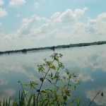 Paraneri water wasted due to embankment weakening – Public works department in urgent action to prevent breach-p1 (2)