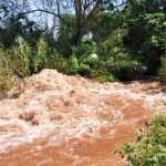 Paraneri water wasted due to embankment weakening – Public works department in urgent action to prevent breach-p2 (2)