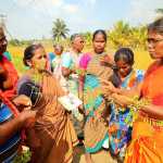 A direct training by the Assistant Director of Agriculture was held at Olayakunnam village tiller field field school on Pasundal crop which plays an important role in soil fertility-p2 (2)