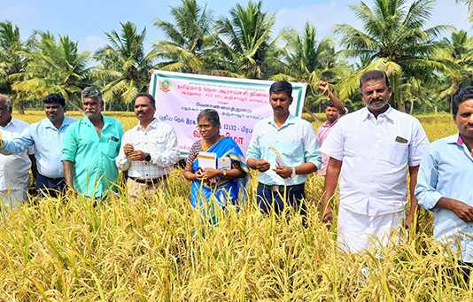 மதுக்கூர் வட்டாரம் ஓலயகுன்னம் கிராமத்தில் நடைப்பெற்ற புதிய நெல் ரக வரிசை அறிமுகப் படுத்தும் வயல் தின விழா ..