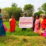 How to control paddy blight – advice given to farmers in field school held at Kanyakurichi village-p2 (2)