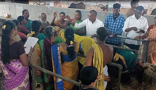 தை அமாவாசையை முன்னிட்டு மறைந்த பித்ருக்களிடம் ஆசிப் பெற திருவீழிமிழலையில் நடைப்பெற்ற கோ பூஜை : பெண்கள் உட்பட ஏராளமானவர்கள் பங்கேற்பு
