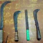 Nellai district raiders arrested in Needamangalam – Thiruvarur district superintendent’s special police action caused excitement-p2 (2)