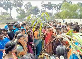 ஆட்டம் மற்றும் பாட்டுடன் சமத்துவப் பொங்கலிட்டு கொண்டாடிய திருவாரூர் தனியார் கல்லூரி மாணவ, மாணவியர்கள் …